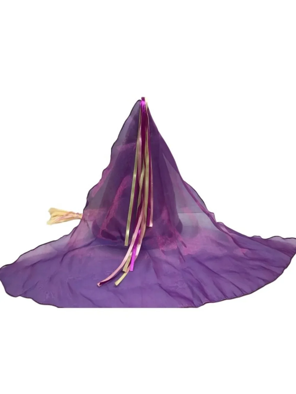 Disney Parks Rapunzel Hat with attached Flower and Ribbon Decorated Braid